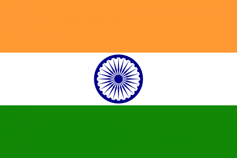 kryptomeny india