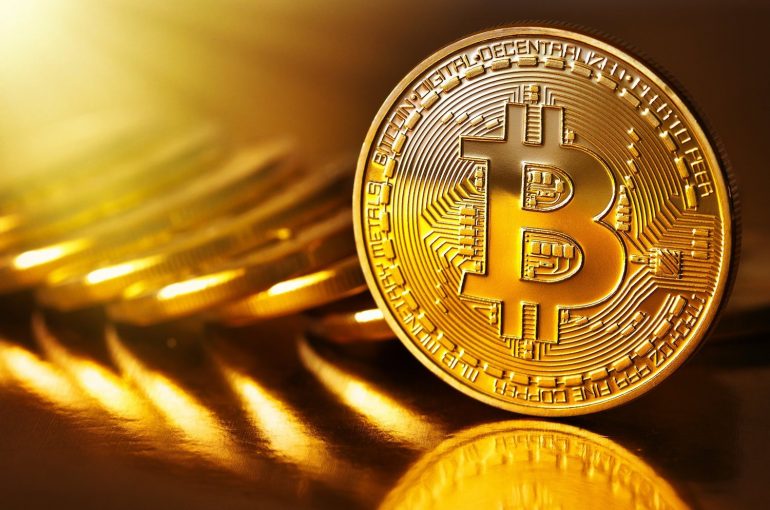 bitcoin kryptomena