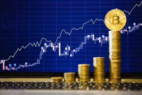 bitcoin kryptomena
