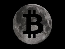 Na transakcii Bitcoinu neexistuje nič pozoruhodné; deje sa sto-tisíckrát denne. Existuje však jedna sada adries, ktorých obsah je sledovaný jastrabými očami. Ak by sa Satoshi pohli z jednej z týchto peňaženiek, vyvolá to pravdepodobne globálne titulky a trhová situácia sa zmení na blázinec. Dôvod je jednoduchý- tieto peňaženky patria "Satoshi Nakamoto" a ak sa jeho mince začnú hýbať, spustí sa peklo.