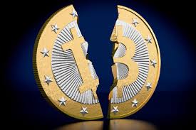 halving