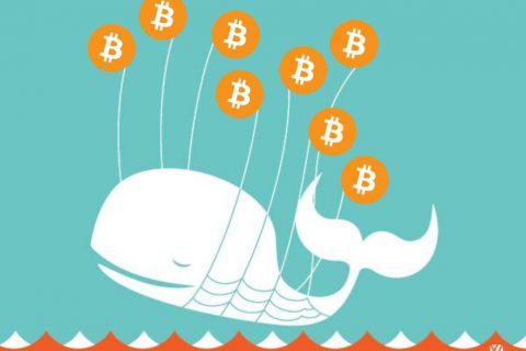 Nová štúdia výskumnej firmy blockchain Chainalysis ukazuje, že BTC veľryby nie sú zodpovedné za kolísanie cien. Štúdia skúmala 32 najväčších peňažných prostriedkov BTC, ktoré údajne predstavovali 1 milión BTC alebo okolo 6,3 miliardy USD.