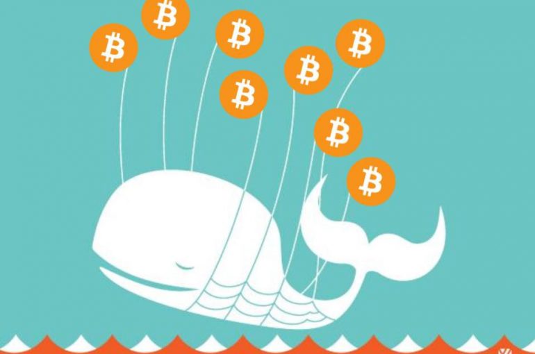 Nová štúdia výskumnej firmy blockchain Chainalysis ukazuje, že BTC veľryby nie sú zodpovedné za kolísanie cien. Štúdia skúmala 32 najväčších peňažných prostriedkov BTC, ktoré údajne predstavovali 1 milión BTC alebo okolo 6,3 miliardy USD.