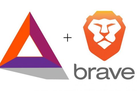 brave-bat-800x500