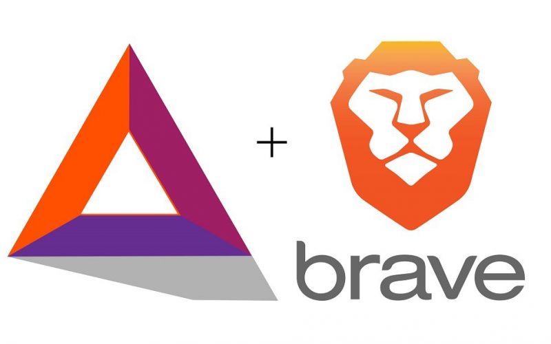 brave-bat-800x500