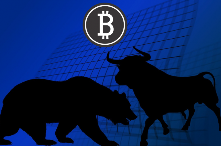 bull