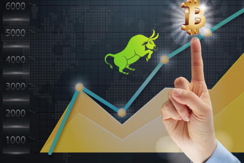 bull run