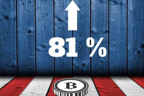81 %