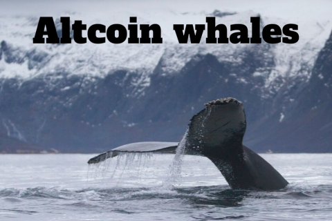 Altcoin whales
