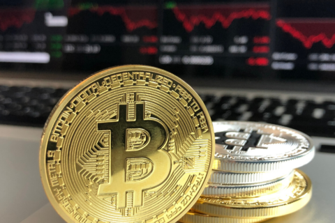 btc (2)