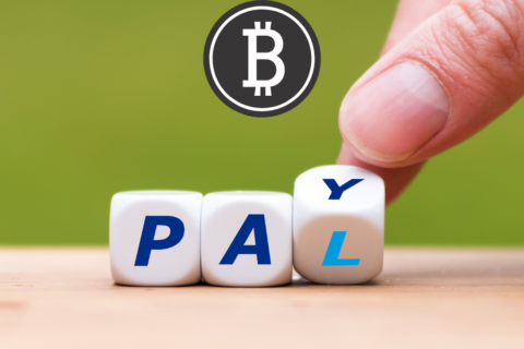 paypal (1)