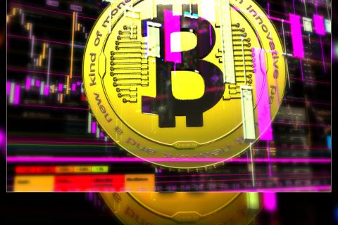 bitcoin-card-blank-motivations-182105